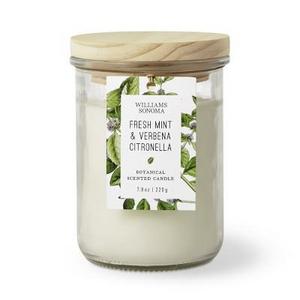 Meyer Lemon Citronella Glass Candle