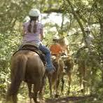 Hyatt Regency Lost Pines Resort and Spa Activities Page
