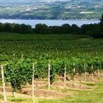 Finger Lakes Wine Trails
