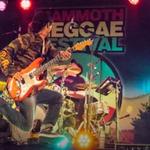 Reggae Fesival
