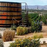 Valle de Guadalupe
