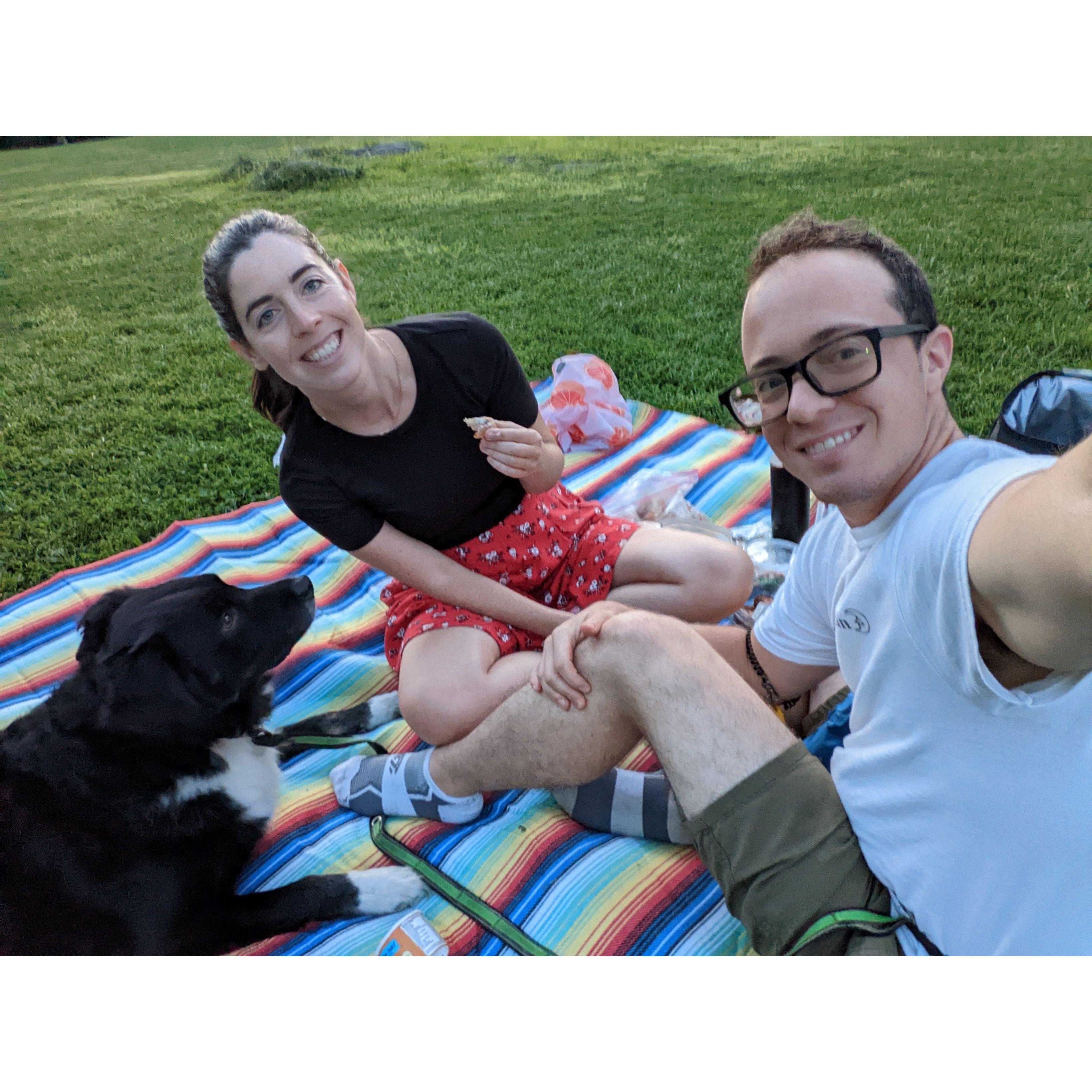 Picnic in Central Park