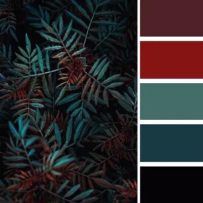 Here are the colors the happy couple has decided to use for the wedding