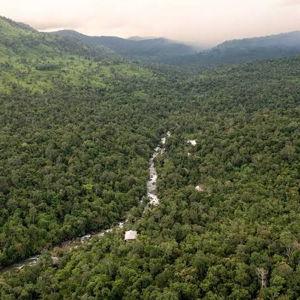 Guided hike in Cardamom Mountains, Cambodia
