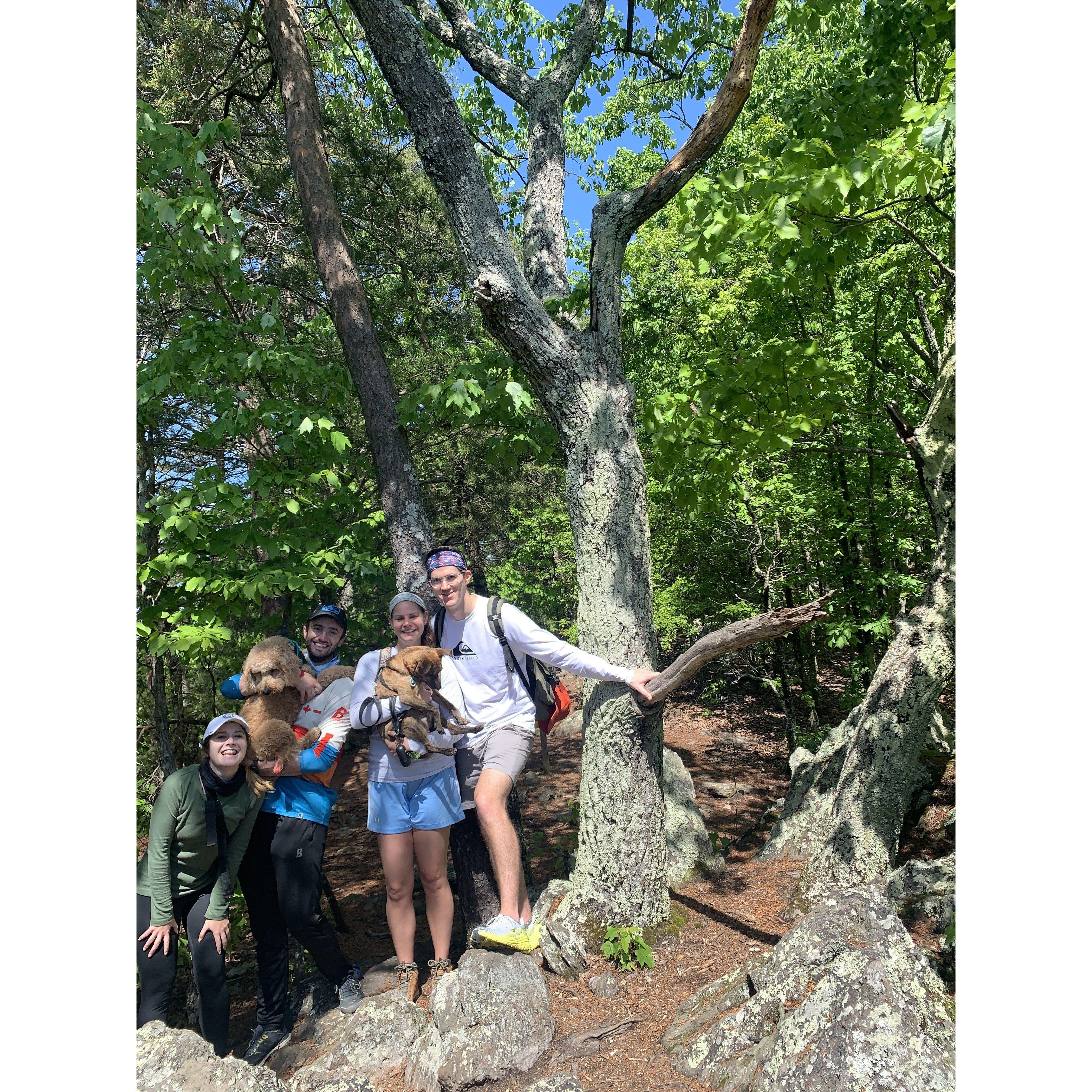Crowder's Mountain - Revisiting the location of our first date!