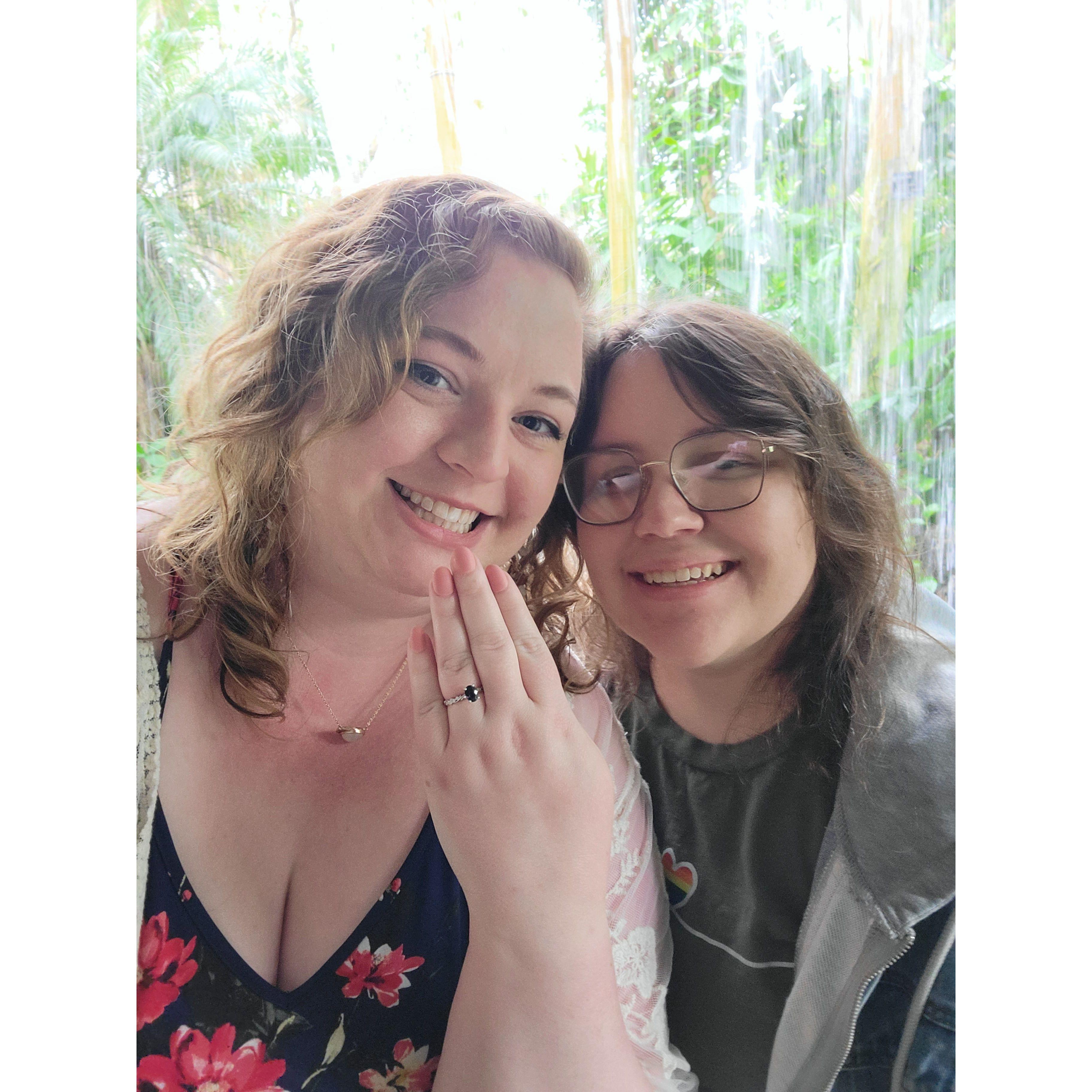 The botanical gardens the day after our engagement