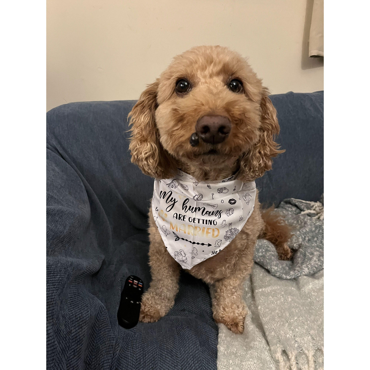 Fozzie is just as psyched as we are!!
