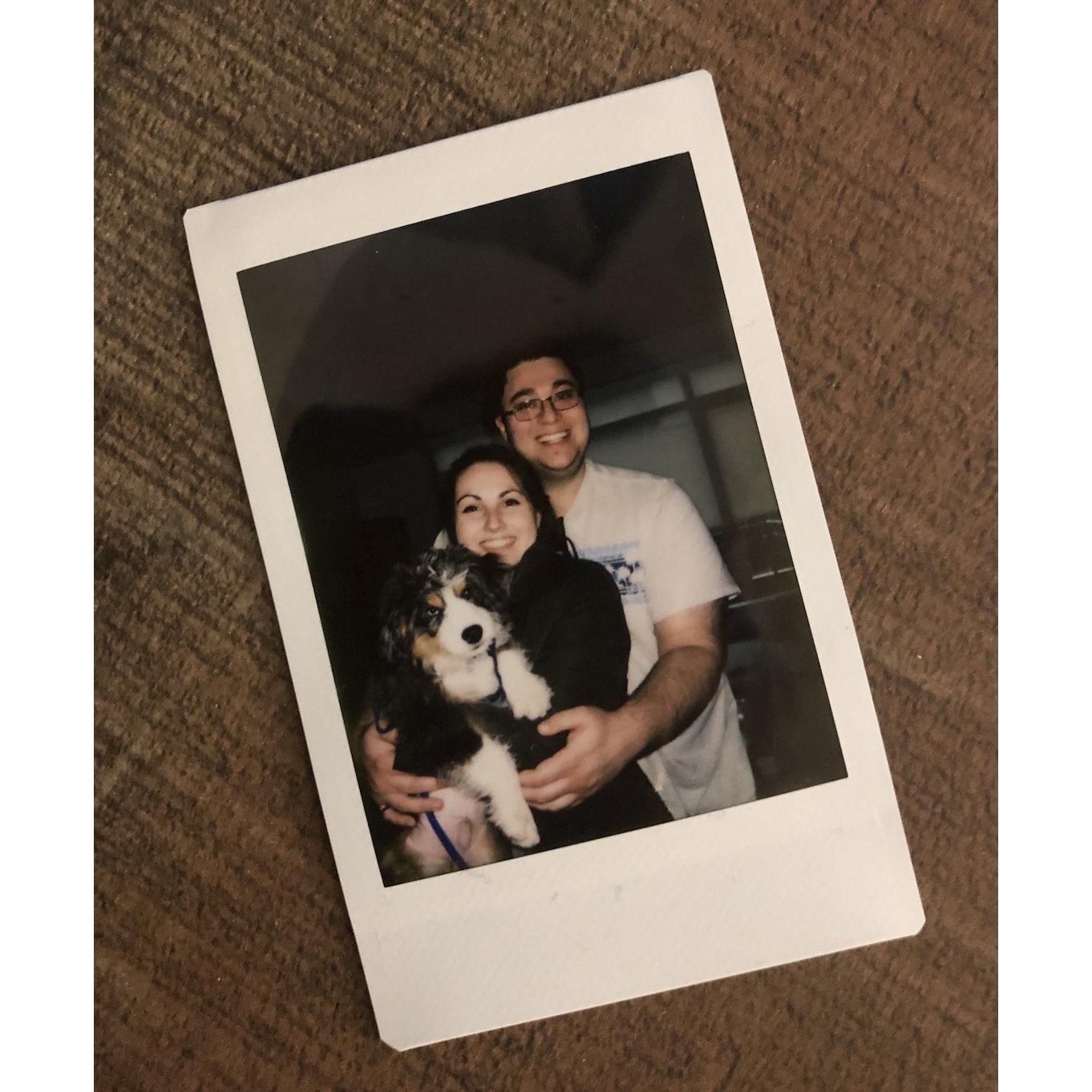2019