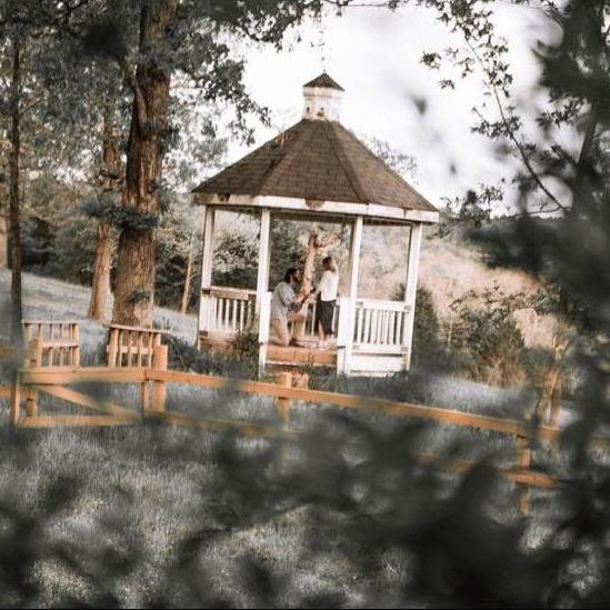 The moment she said yes!