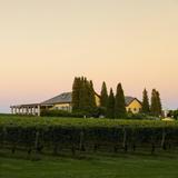 Wölffer Estate Vineyard