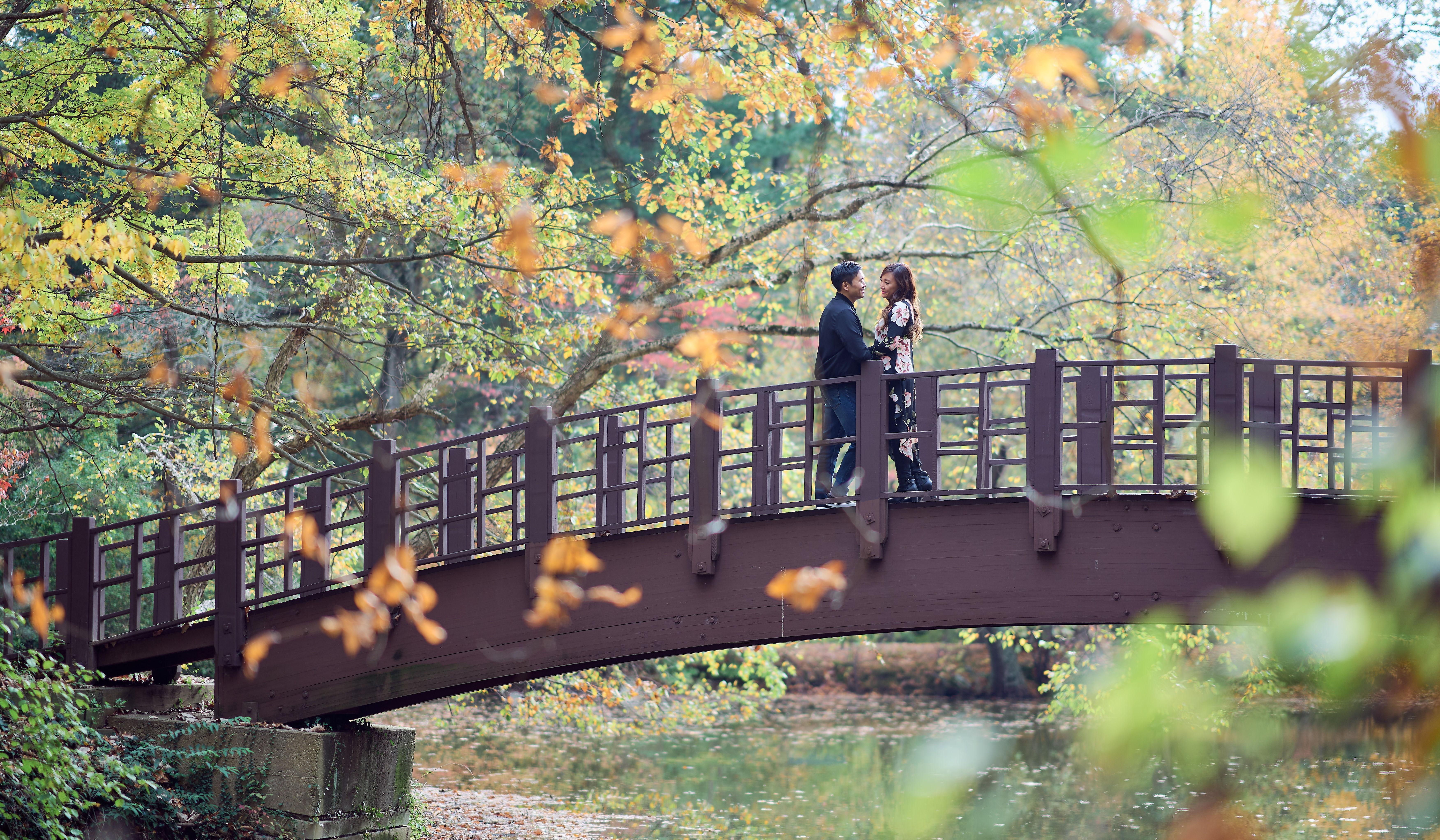 Hero Slideshow Image 3