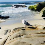 San Diego Beaches