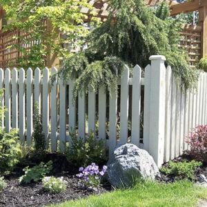 New Fence