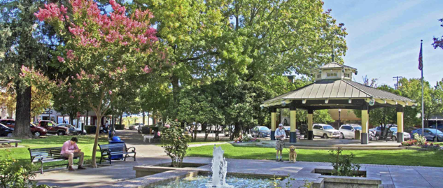The Wedding Website of Shelley Meredith Carpeni and Sol Reisberg