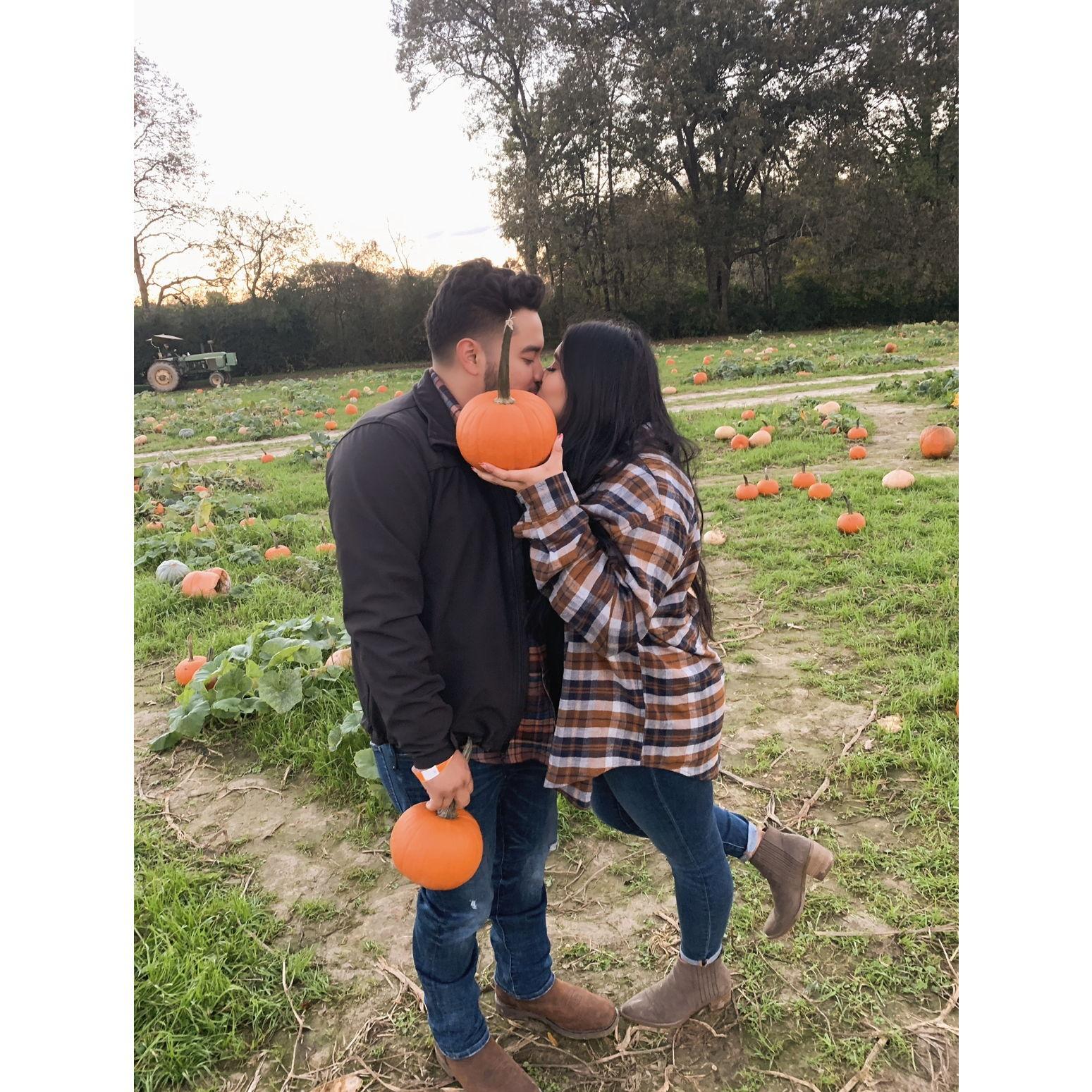 Our first Pumpkin Patch
