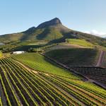 Stellenbosch