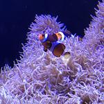 Seattle Aquarium