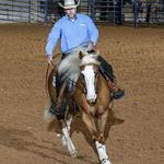 Go West Sliders (horseback riding)