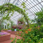 Phipps Conservatory and Botanical Gardens