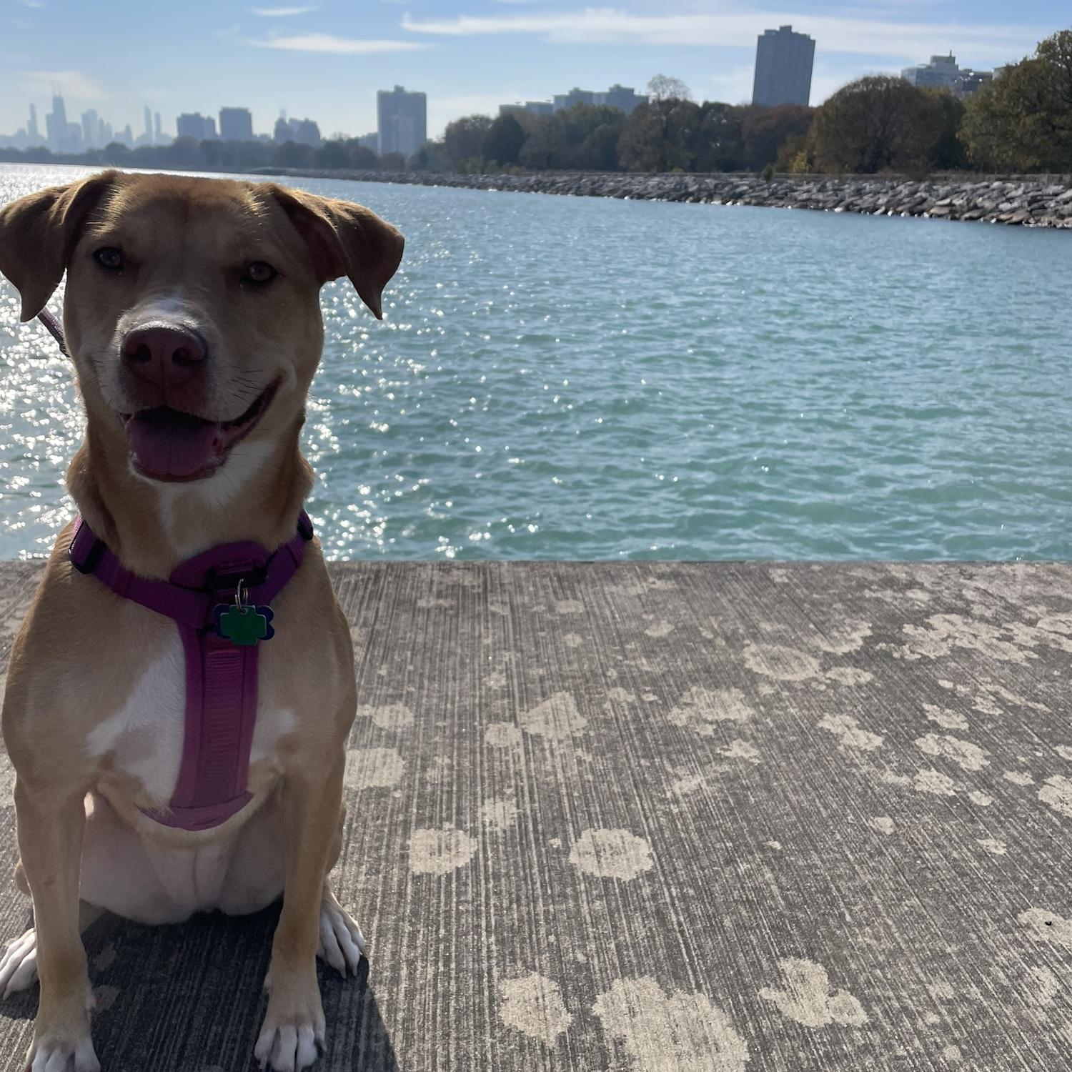 Sunny girl!
