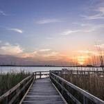 Back Bay National Wildlife Refuge
