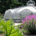 Meise Botanic Garden