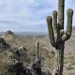 32nd Street and Lincoln Hike