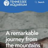Tennessee Aquarium
