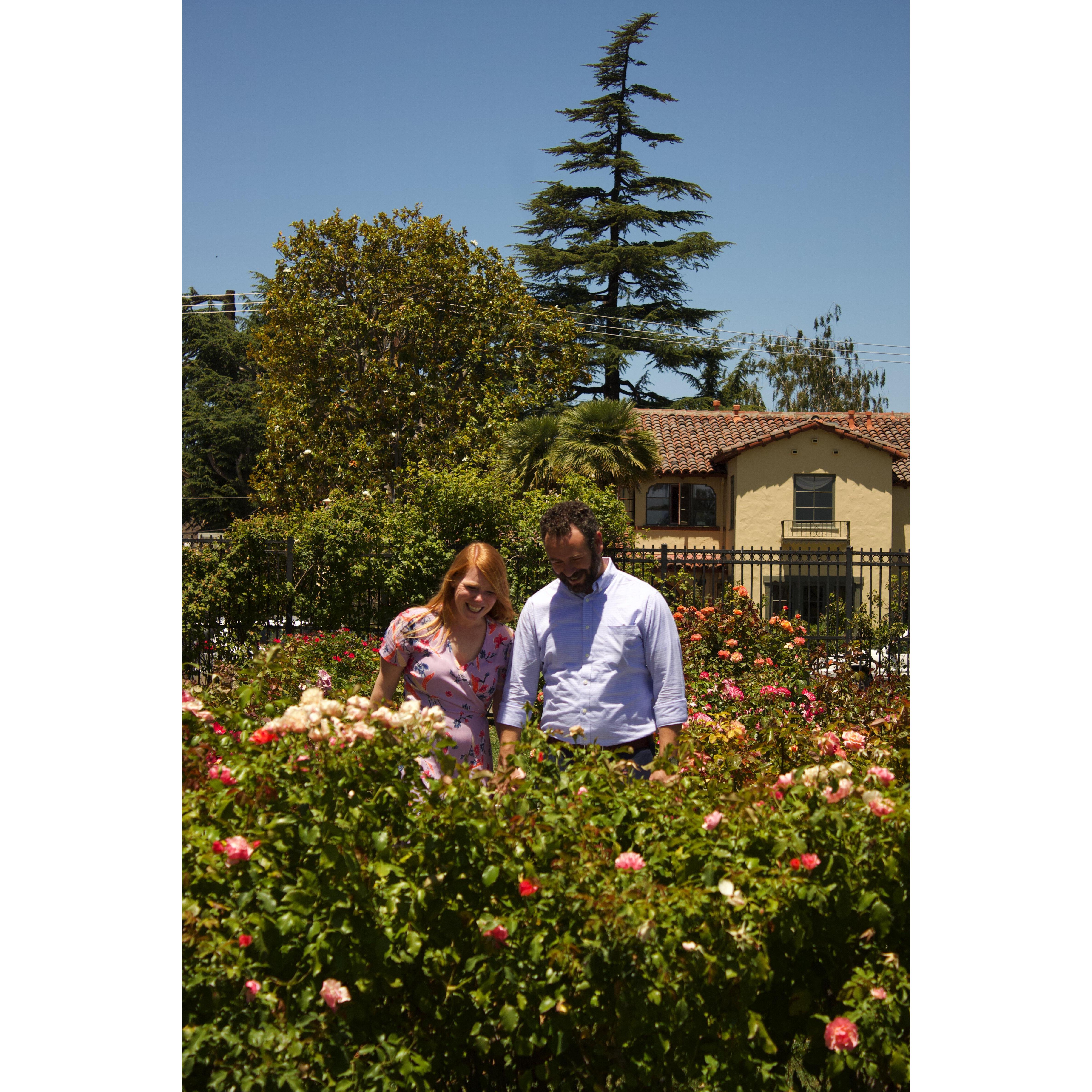 Engagement Photos at The Rose Garden.
Photos by Helena Cardona & Joe Maloof
