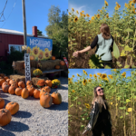 McCallum's Orchard & Cider Mill