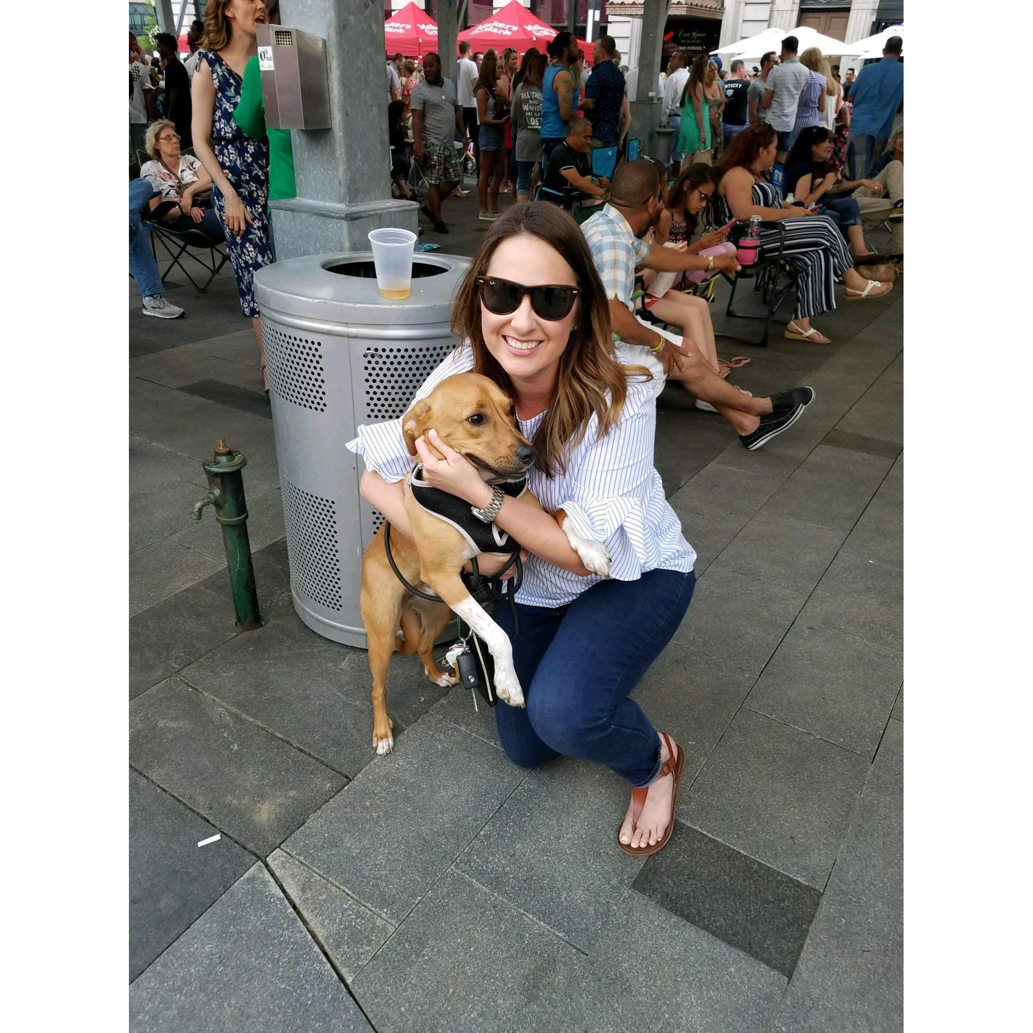 Chloe puppy
