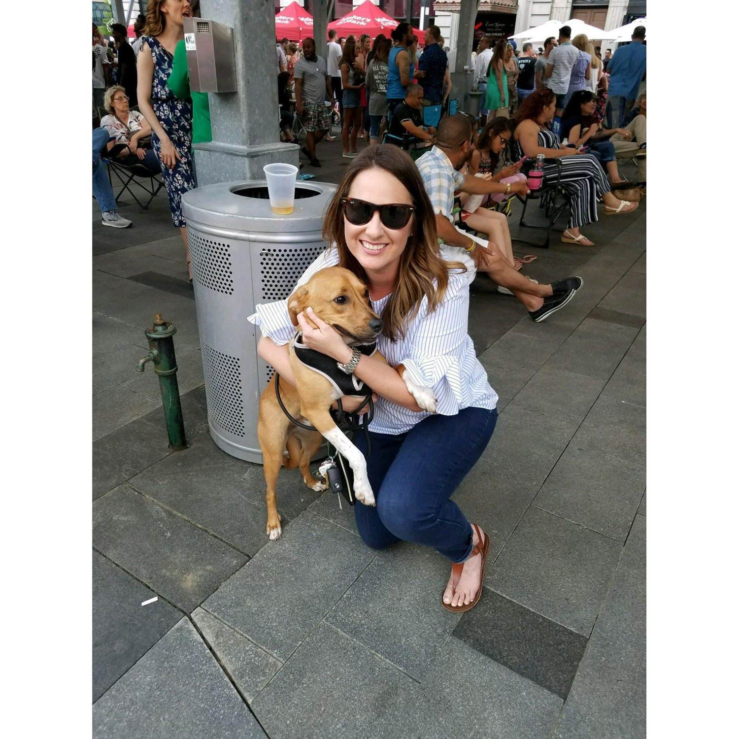 Chloe puppy