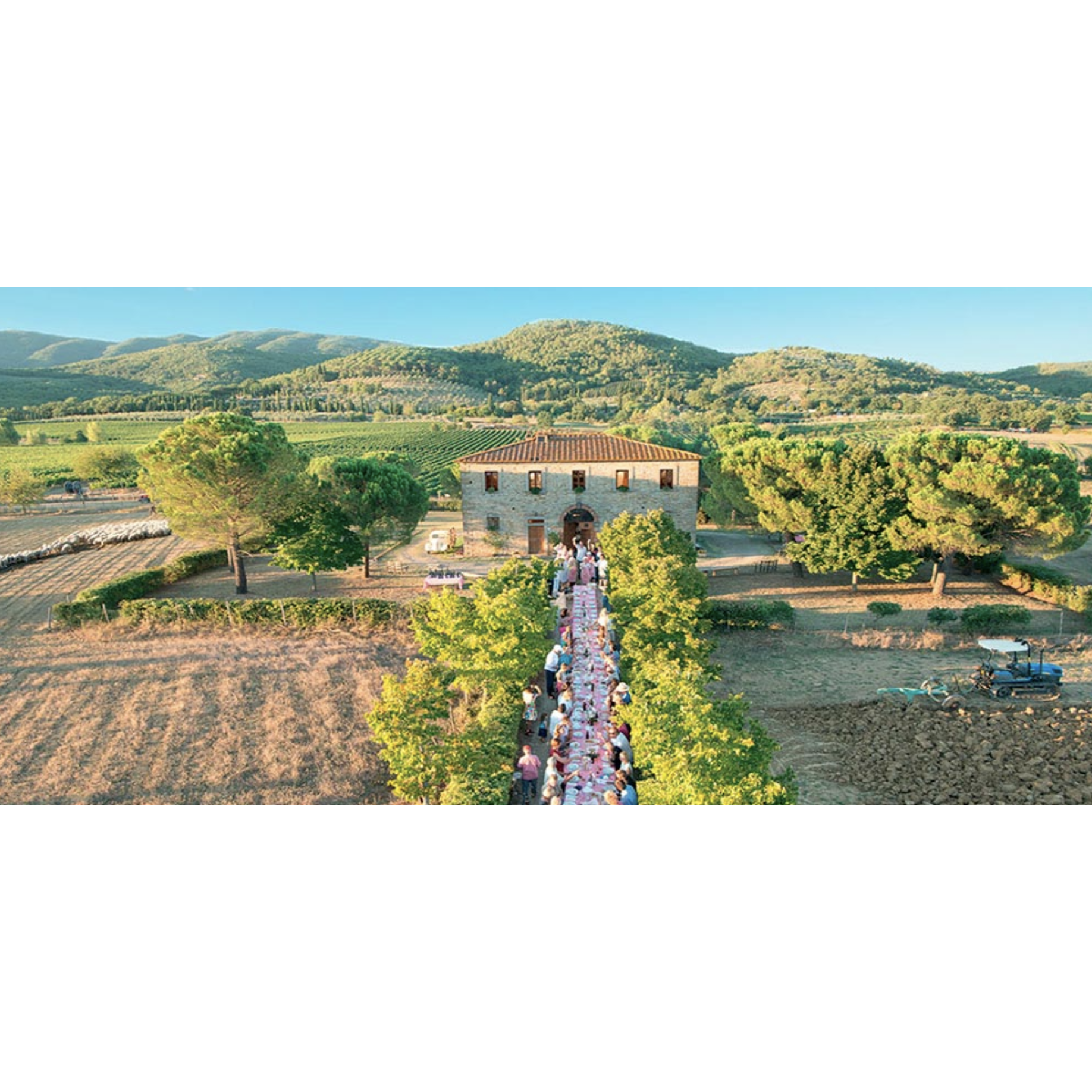 Fattoria La Vialla
