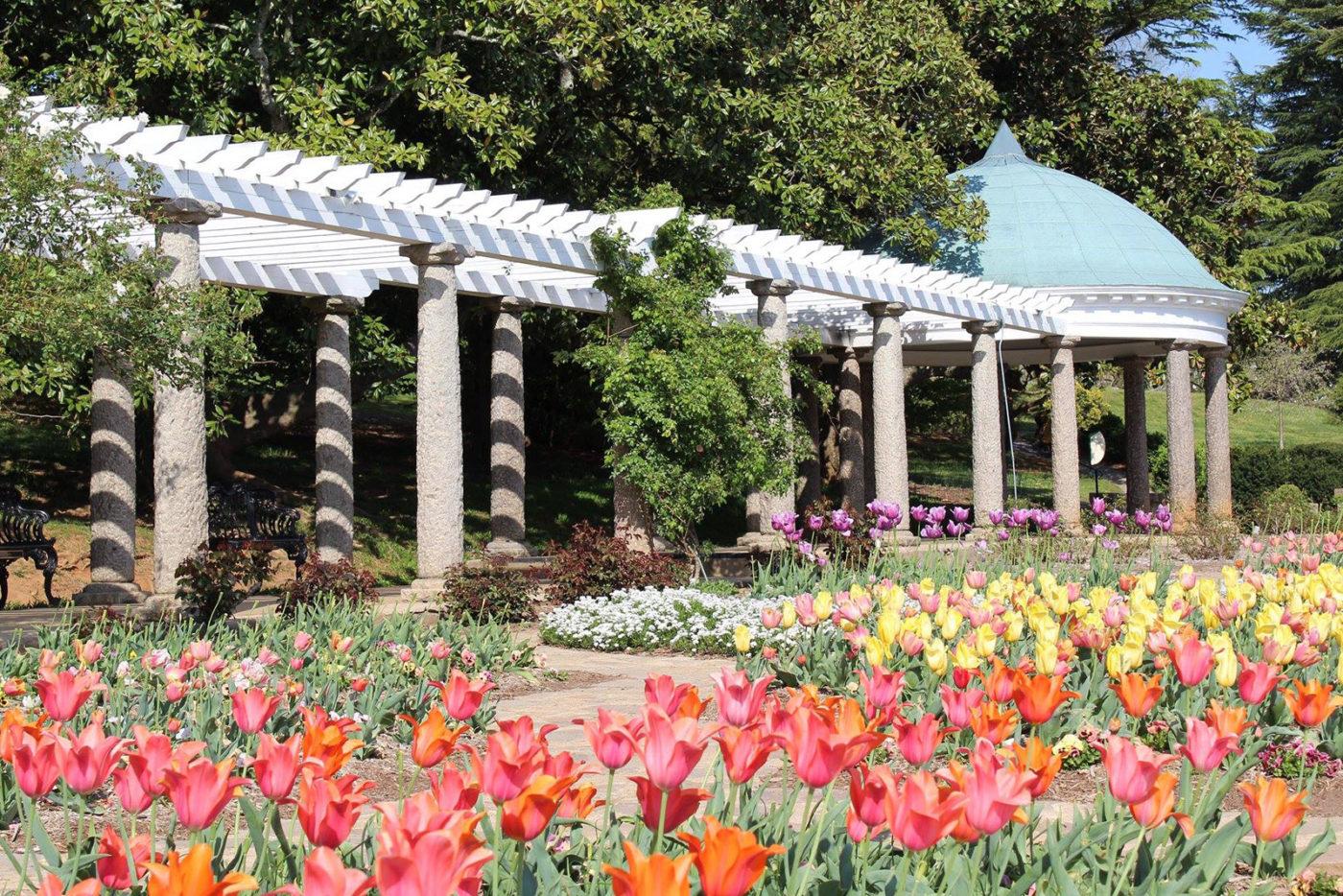 The Wedding Website of Lindsey Gillespie and Zachary King