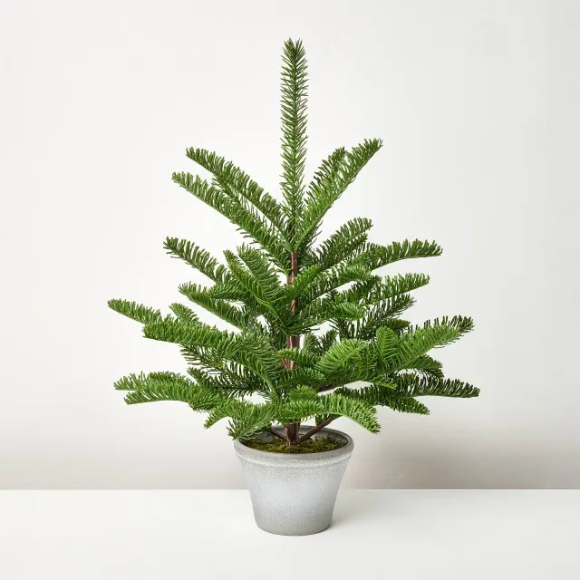 22" Potted Spruce Artificial Tree - Hearth & Hand™ with Magnolia