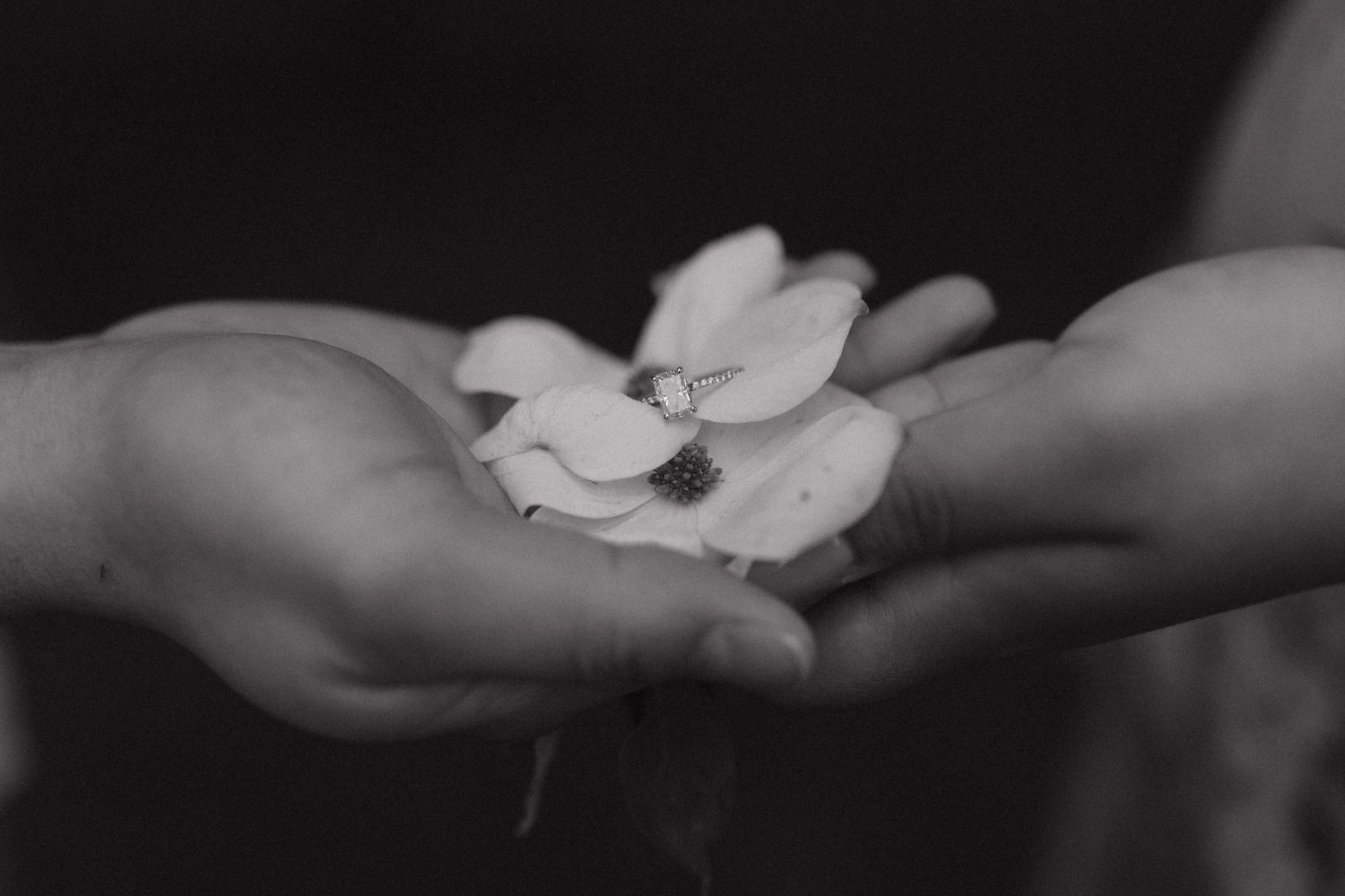 The Wedding Website of Jessica Rodriguez and Raymond Rivera