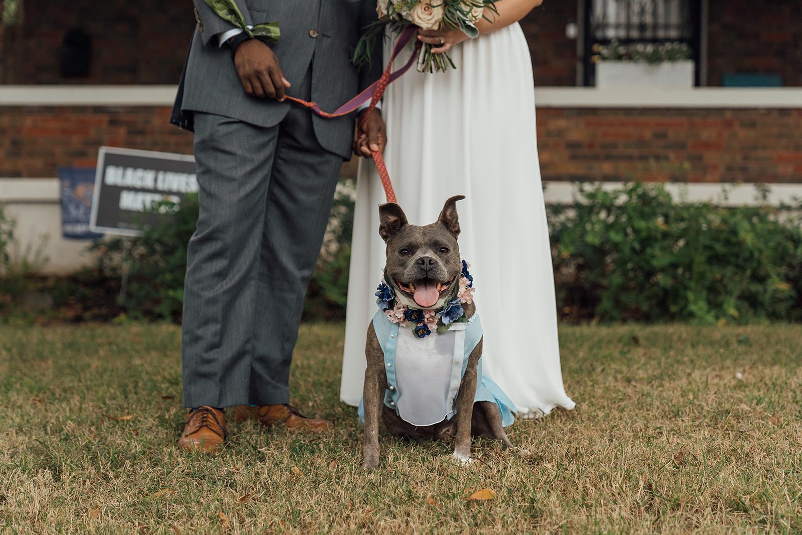 The Wedding Website of Kelsey Hamilton and Kenn Gibbs
