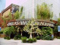The Dallas World Aquarium