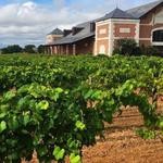 Grapevine Wineries
