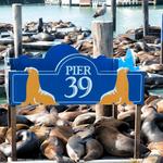 PIER 39