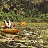 GOA KAYAKING SAL BACKWATERS