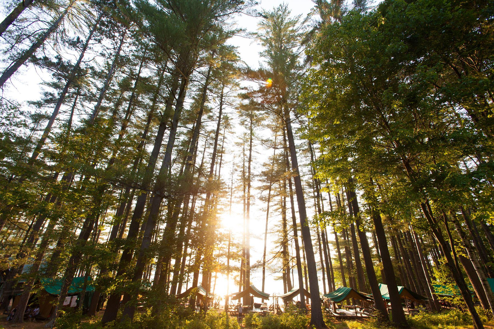 The Wedding Website of Ellen Berube and Sylas Hatch