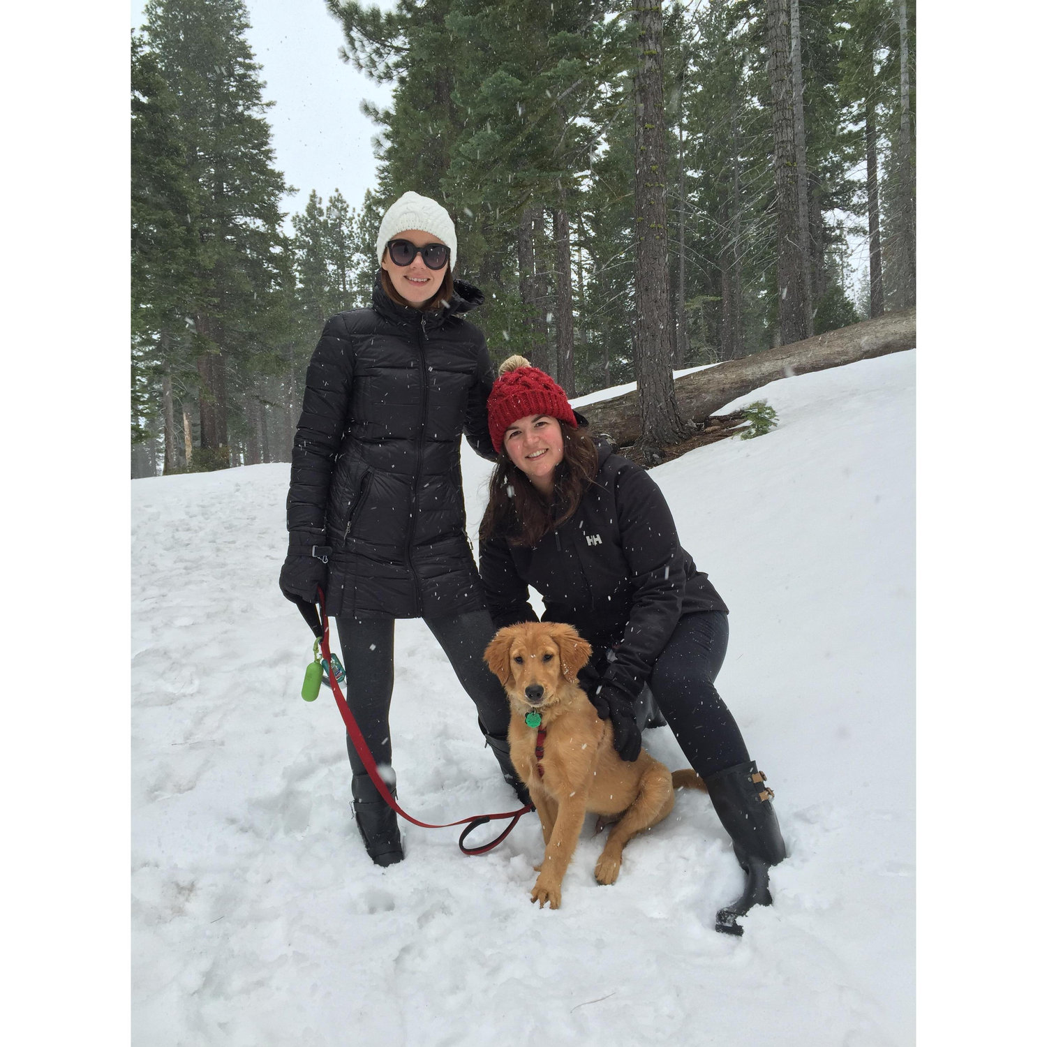 and took Zig on a wintery hike in Tahoe