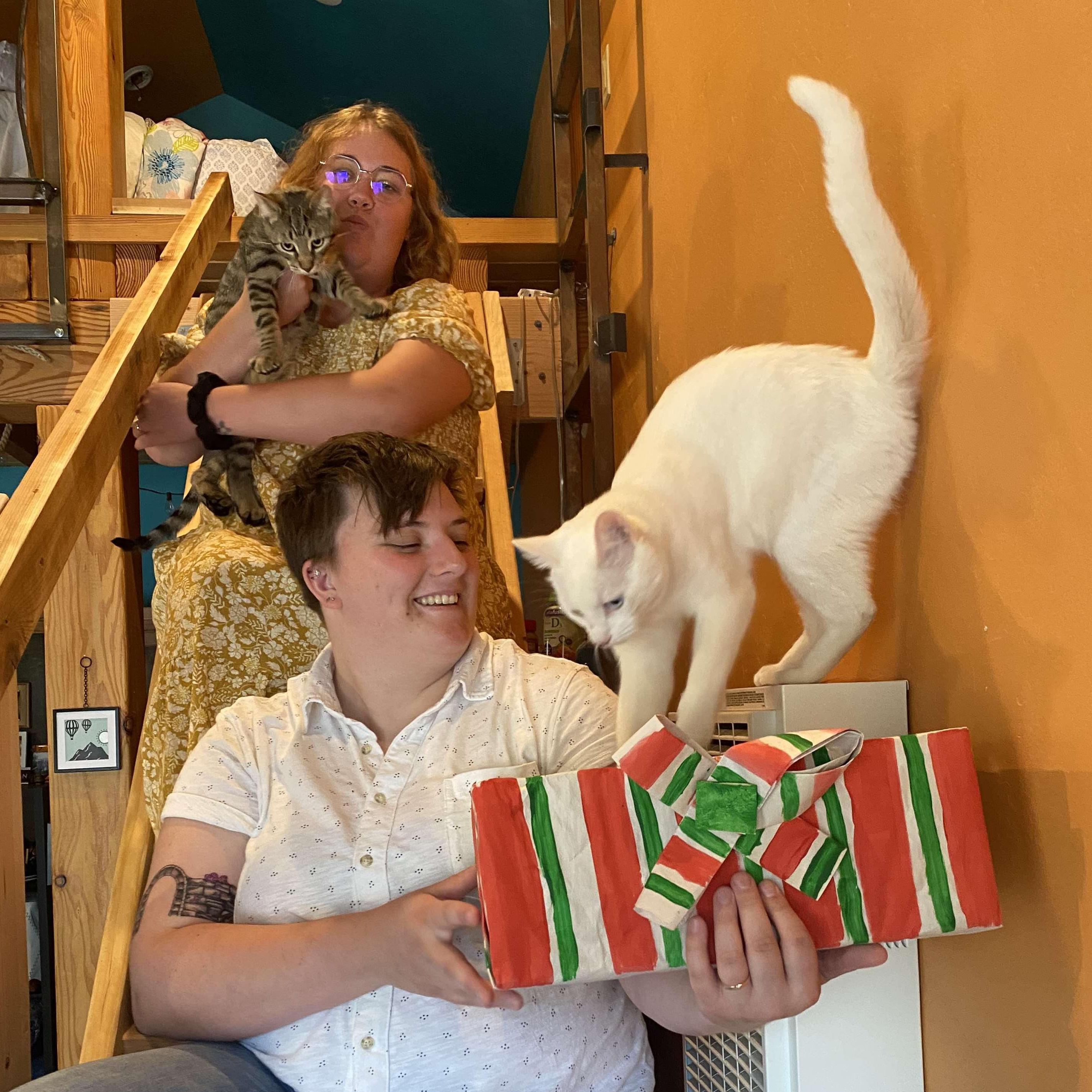 Quentin & Maryellen attempting to get a Christmas card picture. Convincing Hyacinth to sit in a box, and getting Hawthorne to look at the camera was quite the battle.
