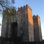 Bunratty Castle & Folk Park