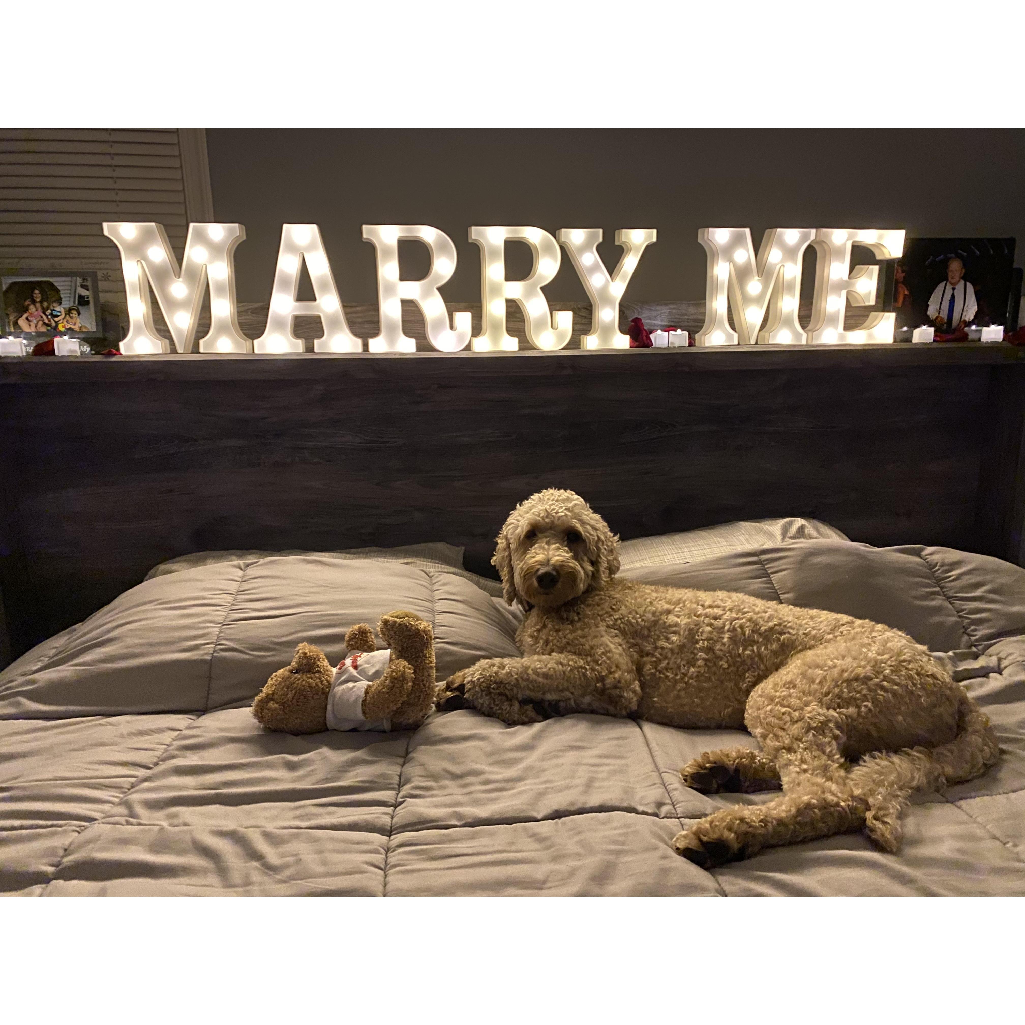 Ella posing where Tim asked me to marry him ❤️💍