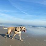 Ocean City