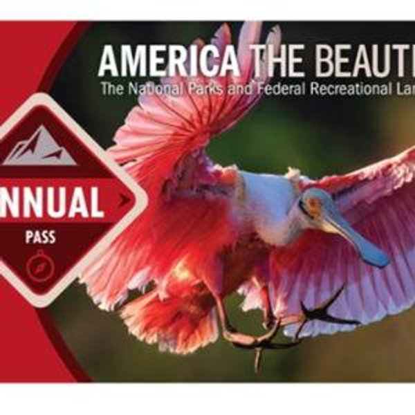 Annual National Parks Pass