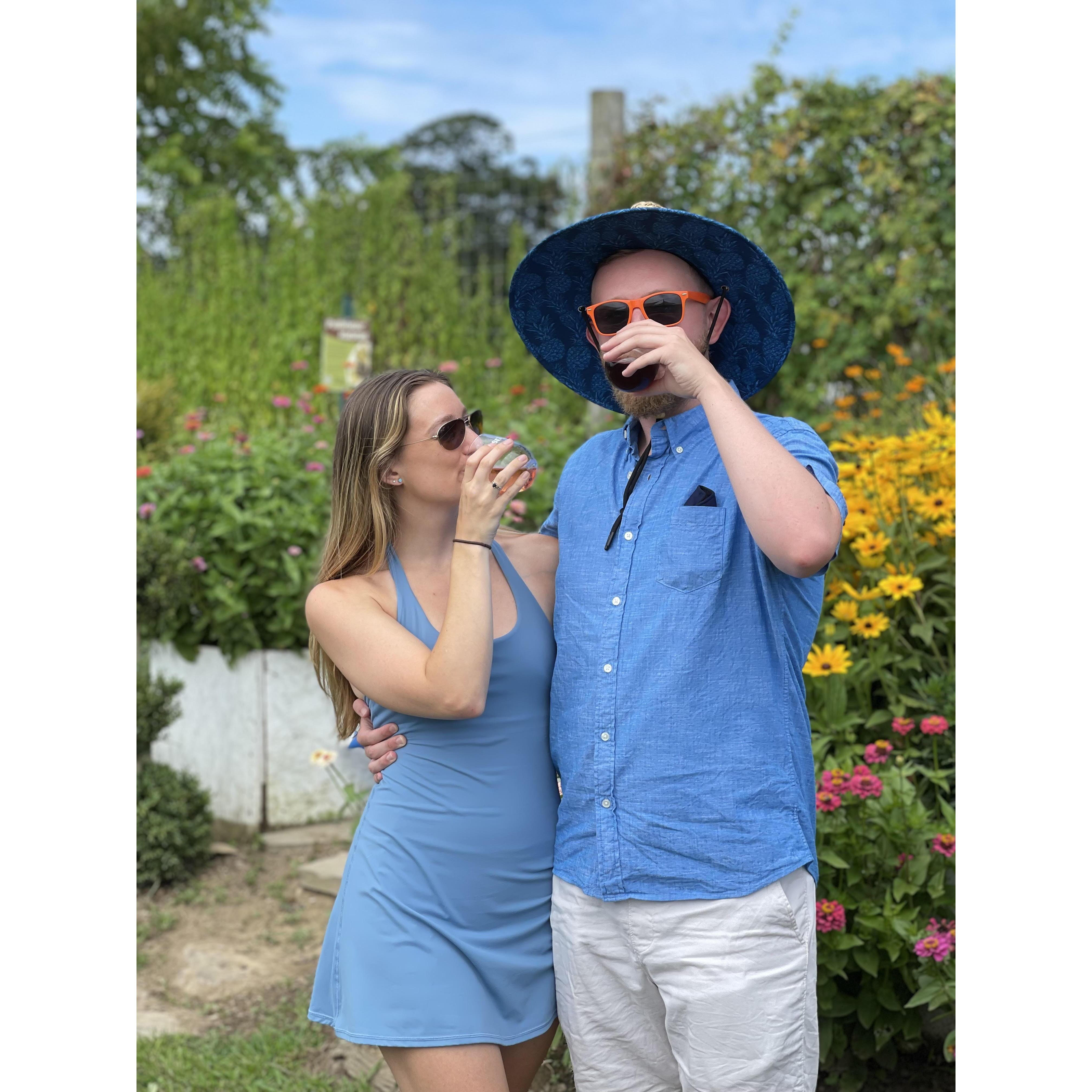 Vineyard in the Hamptons in 2021