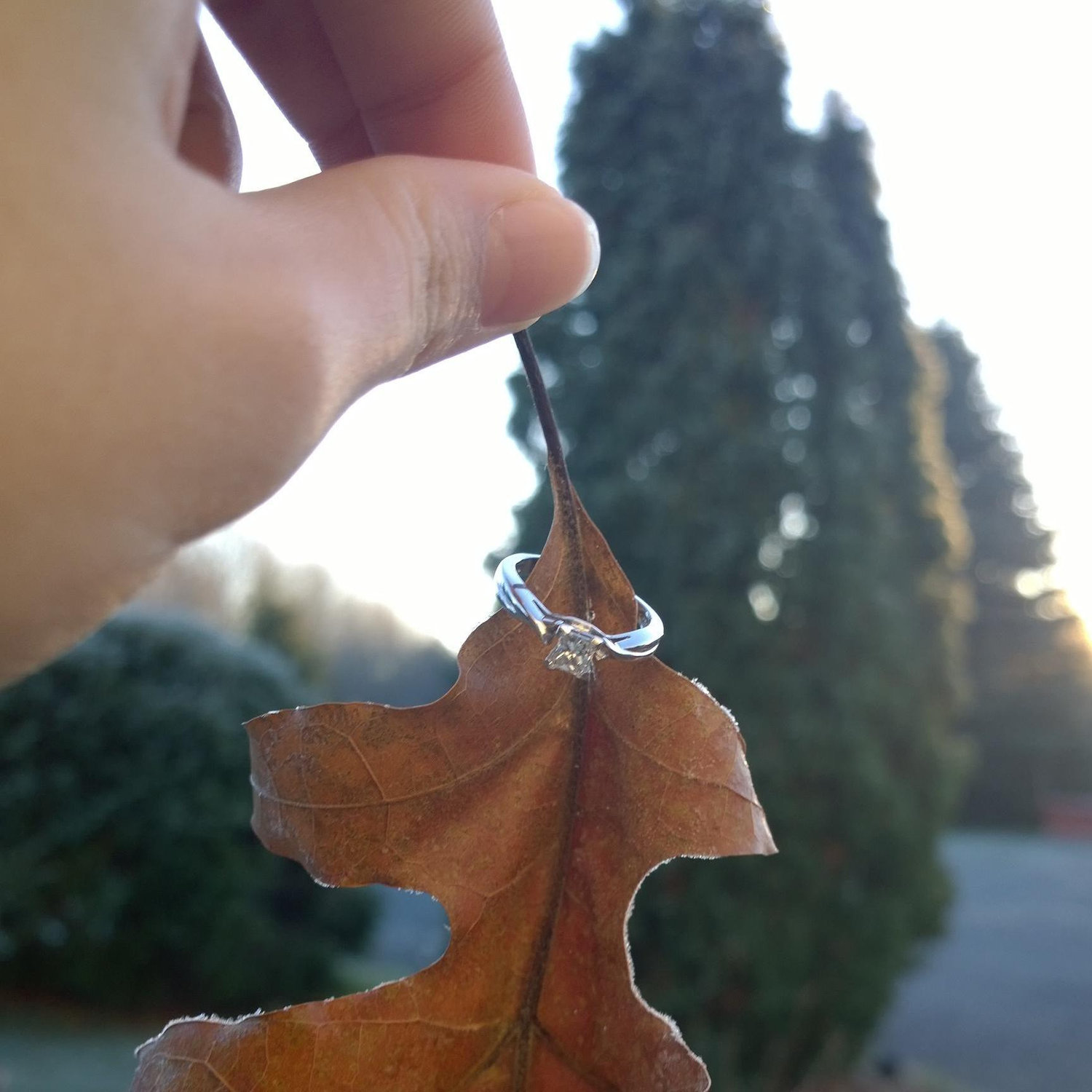 Fall wedding!